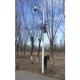 3m 4m 5m Galvanized Steel Pole With Traffic Signal Solar Monitoring CCTV Camera