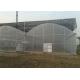 Large Size Reinforced Plastic Sheeting Greenhouse With Hydroponics System
