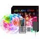 RGB Colorful Smart LED Strip Lights 12V 44 Key Infrared Remote Control OEM