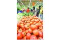 Jinan: Price of Vegetables Falls after the Spring Festiva