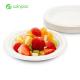 Eco Friendly Biodegradable Sugarcane Paper Plates 7inch Dinner Foods Disposable