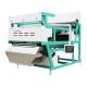 Automatic Garlic Color Sorter Intelligent Double Layer Anti Jamming Stability