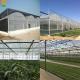 Customized Length Multi-Span Film Greenhouse for and Durability in Large-Scale Farming