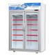 -18~-22℃ Commercial Glass Door Upright Display Freezer For Meat Seafood