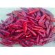 Edible Tianjin Red Chiles New Crop Stemmed Dried Arbol Chili Peppers