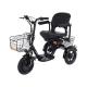 48V 300W Motor Power 12 Inch Electric Tricycle 3 Wheel Electric Bike for Adult Cargo