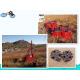 seismic drilling rig oil prospecting TSP-40 in field