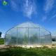 Pipe Framed Poly Tunnel Greenhouse Strong Wind Resistance