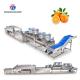 Fruit And Vegetable Wool Roller Bubble Cleaning Machine 1500KG/H