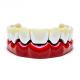 Perfect Blend Of Precision And Technology Our Ceramic Dental Crowns