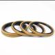 FKM Oil Seal Wear and Corrosion Resistant for High Pressure Applications ydraulic Cylinder Sealing Sturger Sealing Ring
