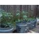 5 Gallon Plastic Bucket Containers For Planting Vegetables Garden