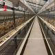 A And H Poultry Broiler Cage Raising Equipment For Day Old Chicks Sandy