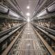 H Type Automatic Poultry Battery Cages Egg Layer Chicken Farm Laying Hens 5 Tiers