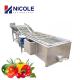 SS Automatic Fruit Vegetable Cleaning Machine Air Bubble 220V 415V 440V