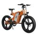 High Speed 55km/h Fat Tire Off Road Electric Bike