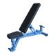 Blue Tube Full Gym Equipment Adjustable Weight Dumbbell Workout Bench