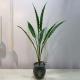 High Imitation Bird Nest Fern Artificial Branches 85 Cm For Home Decoration