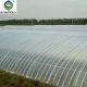 Sainpoly Multi Span Greenhouse Agricultural / Commercial / Industrial Plastic Film Greenhouse