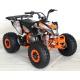 80kg Loading 125cc Racing Quad