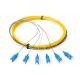 0.9mm SC / APC 24 Core Optic Patch Cords Fiber Pigtail With 4.0mm Boot