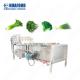 Vegetable and Fruit Processing Double Bubble Washer Type Industrial Washing Machine Washing Apple 304 Stainless Steel 800kg/hour