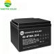 12V 24Ah Sealed Storage Battery M8 / M10 Absorbed Glass Mat Battery For Energy Storage