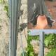 2.4m 2.5m Galvanised Steel Vineyard Posts Substitute Of Cement Posts And Wooden Posts