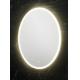 Aluminum Alloy Frame Backlit Oval Bathroom Mirror 557X760 610X910 1010X760
