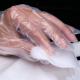 Disposable Clear Plastic Gloves / Food Grade Kitchen Disposable Gloves