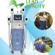 Top tech 4 handpieces fat freezing fat removal cryolipolysis system beauty machine