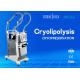 Skin Freeze Cryolipolysis Slimming Machine , Double Handle Fat Reduction Equipment