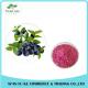 100% Natural Fruit Dried Blueberry Powder