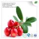 Hongkong Imported Cranberry extract