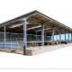Lightweight Prefab Steel Framed Agricultural Buildings Metal Cattle Shed CE Approval