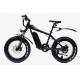 20In Fat Wheel E Bike 17Ah Big Lithium Battery Cysm Ebike