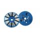 Quick Change Concert Grinding Disc Multi Segments Easy To Install