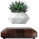 OEM/ODM Floating Levitating Plant Pot Holder For Air Plants Room Decor Tech Toys