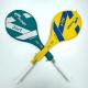 Professional Training Badminton Racket with Customized Design and Lightweight Material