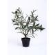 50CM Fake Olive Tree Plant Preserved Tree Trunks Timeless Beauty No Watering