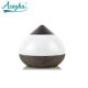 300ml Ultrasonic Aromatherapy Diffuser , Portable Essential Oil Diffuser