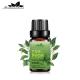 30ml Body Essential Oils Perfume FDA Camphor Essential Oil Aromatherapy