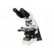 Binocular Digital Microscope With Screen 40X 1000X Phase Contrast Light Microscope