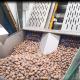 Mechanical Pecans Silver Sorting And Shelling Machine Computer Control 380V