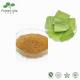 Food Ingredients 5% Lotus Leaf Extract Powder Nuciferine