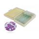 10 Kinds Plant Microscope Slides , Fixed Pollen Microscope Slides