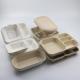 Sustainable Sugarcane Bagasse Recyclable Food Containers Customizable Oven Safe