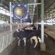High-Performance Livestock Ventilation Fans for Optimal Airflow in Farms