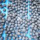 Stainless Steel Blueberry Sorting Machine 360 Degree Rotational Scanning