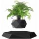 Black Hexagon Magnetic Levitation Plant Levitating Air Bonsai Pot 360 Degree